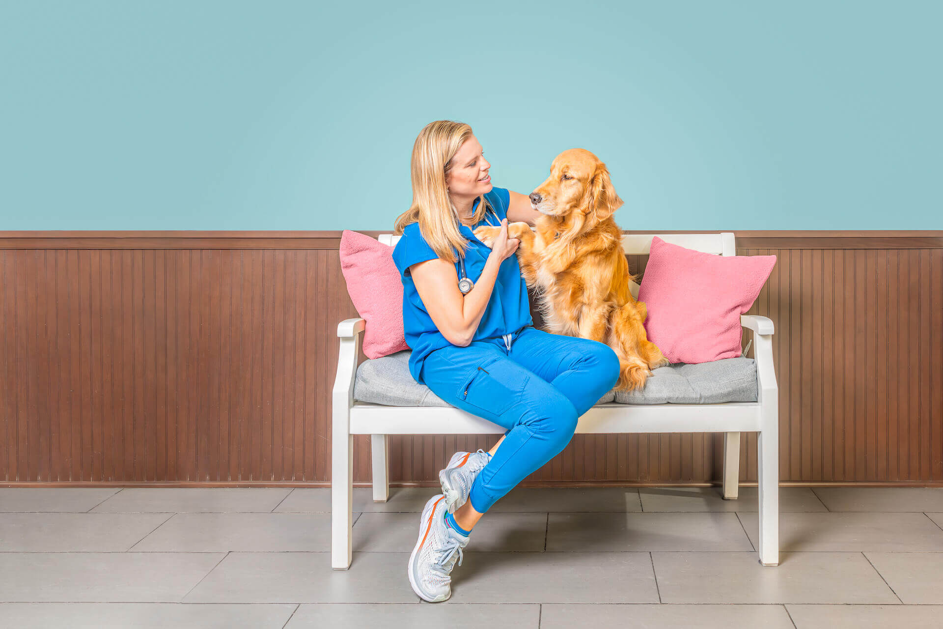 highlandparkanimalhospital-dallas-texas_0-2.jpg