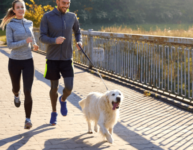 The Best Dog Breeds for Runners